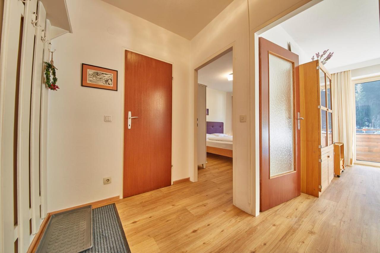 Appartement Delight 萨尔巴赫 外观 照片